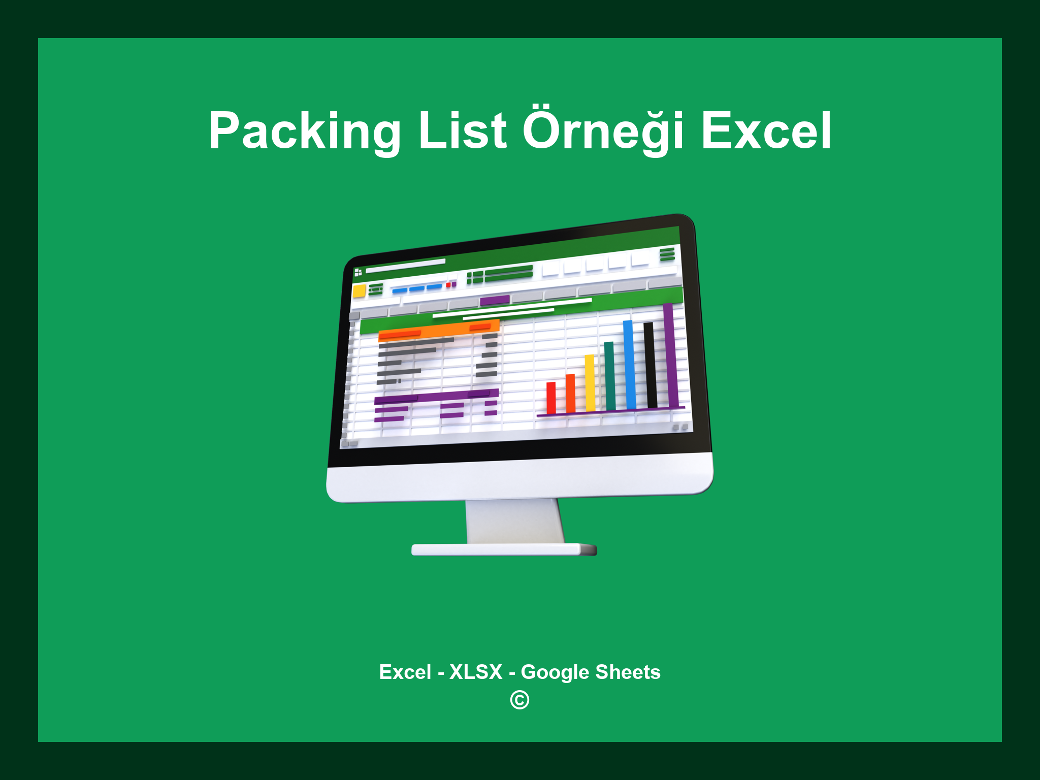 Packing List Örneği Excel